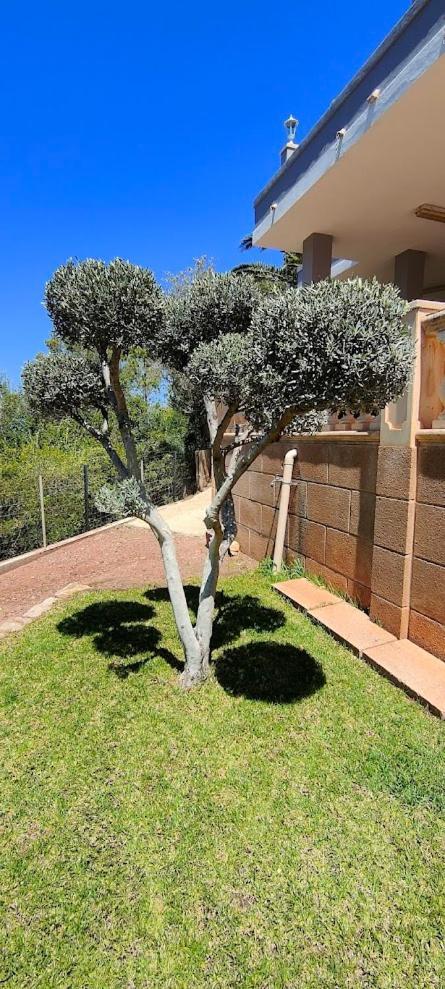 Villa Capllonch Banyalbufar Exteriör bild